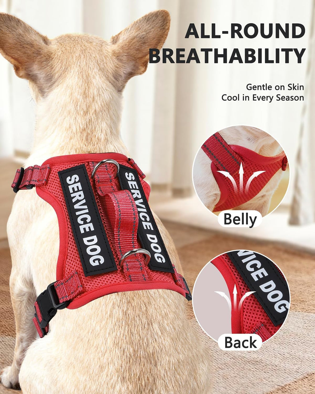 Small dog vest kit with leash, bone-shaped ID tag, and interchangeable patches