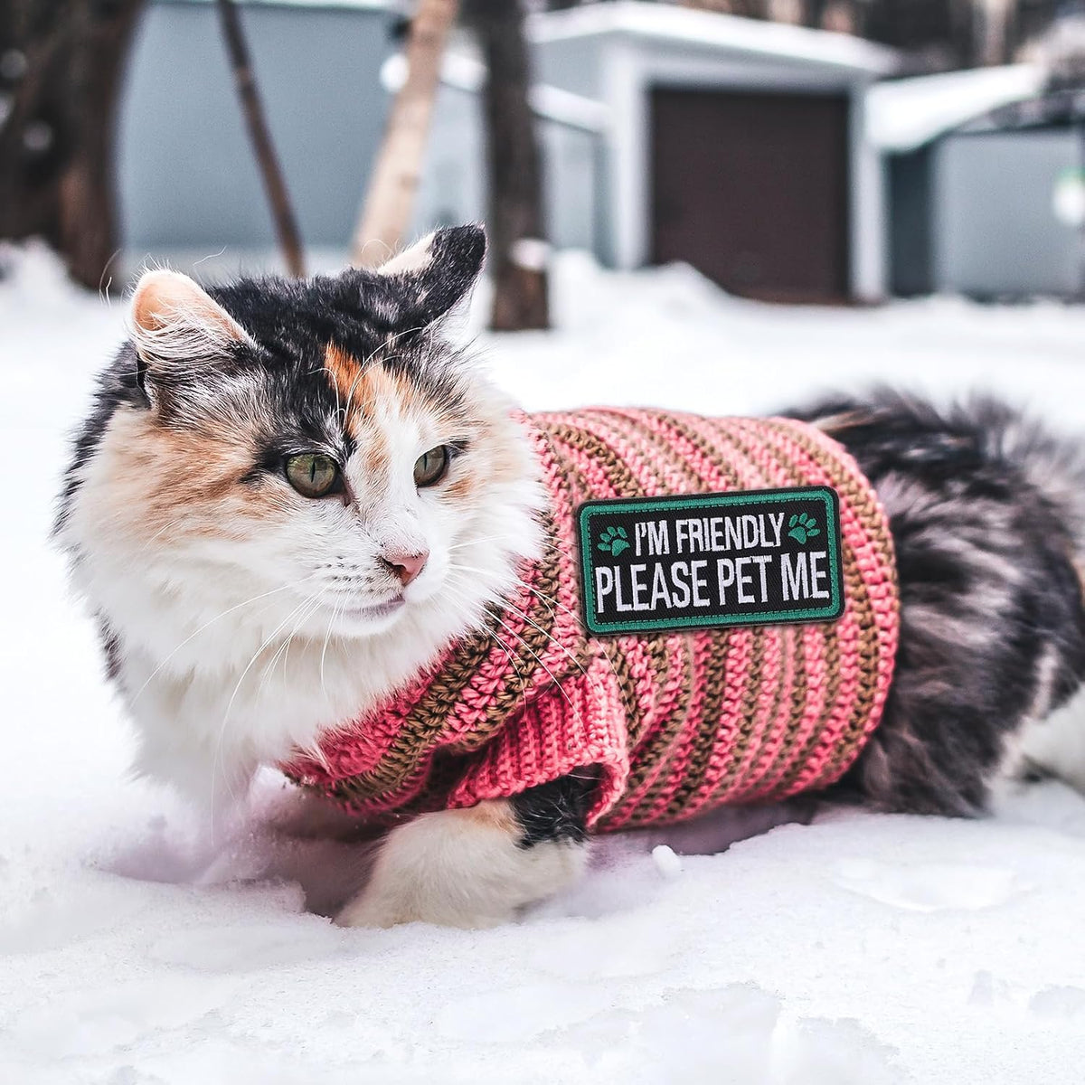  Embroidered I’m Friendly, Please Pet Me dog patches for compatible pet gear