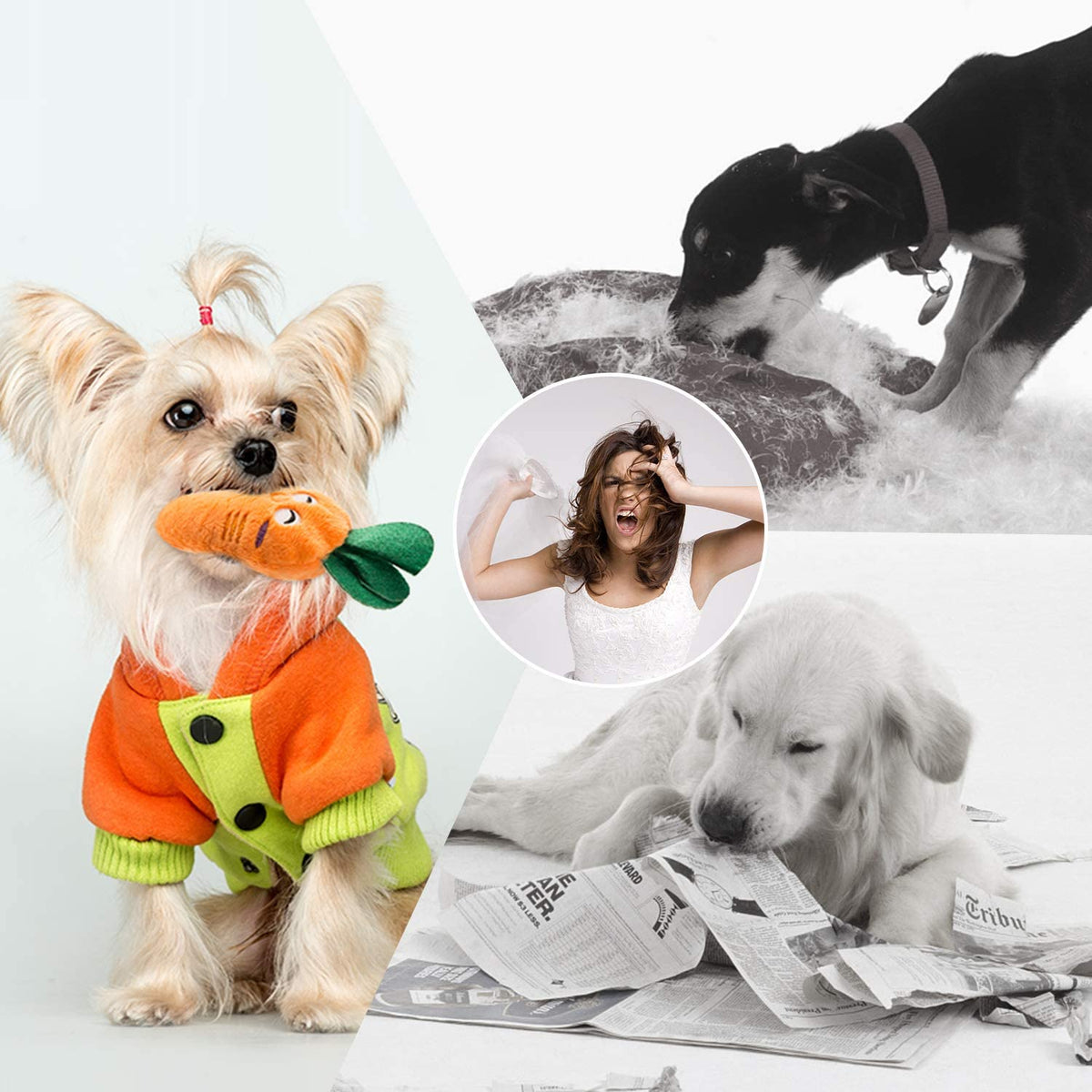 Nocciola 12-piece plush squeaky dog toy set with assorted soft toys and carrying bag.