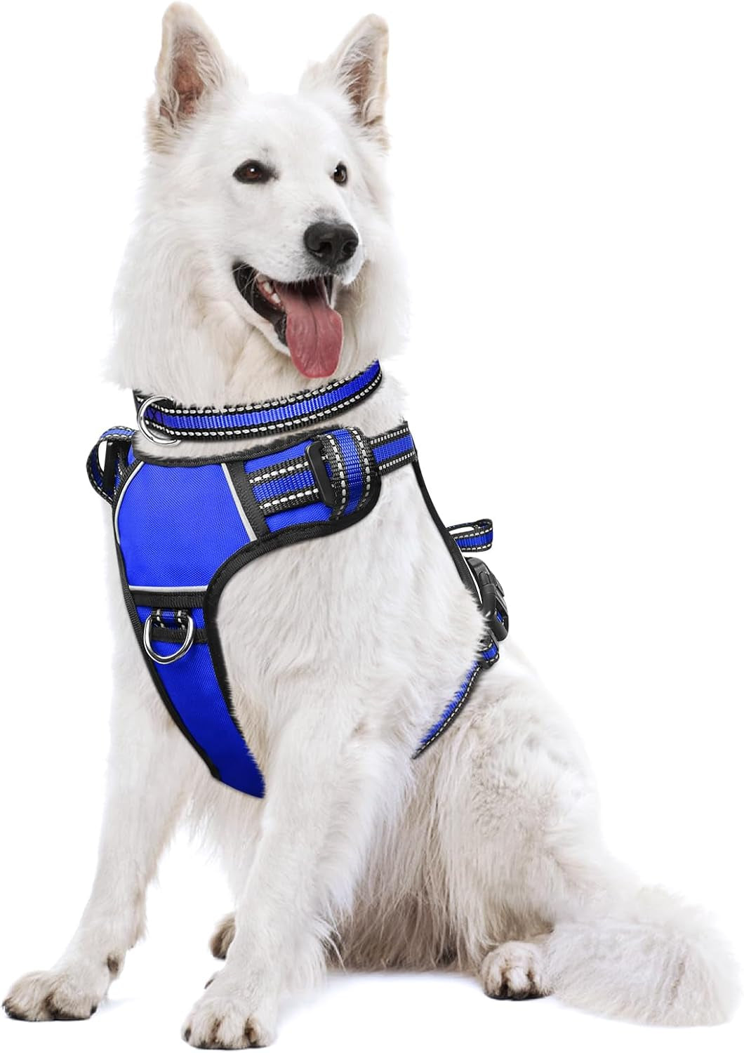 Reflective no-pull dog harness with adjustable straps and front and back leash clips.