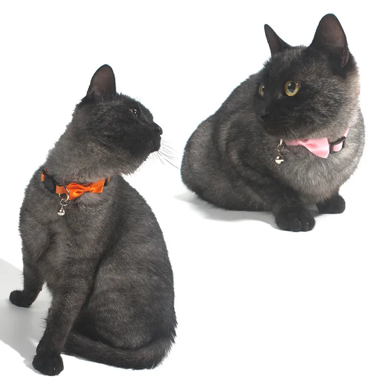Adjustable cat collar with bow and bell