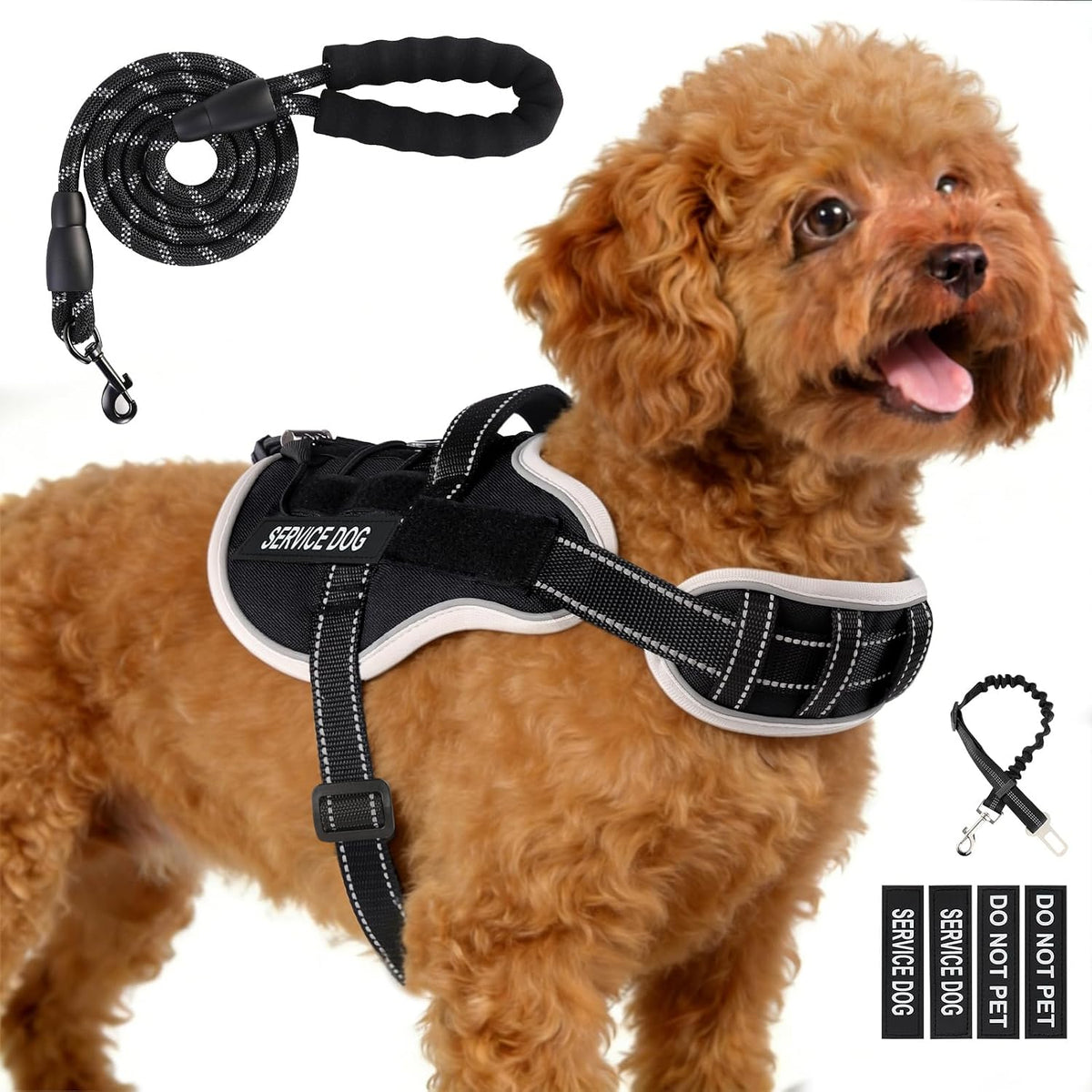 Small-dog vest kit with leash, car seat belt, and removable patches