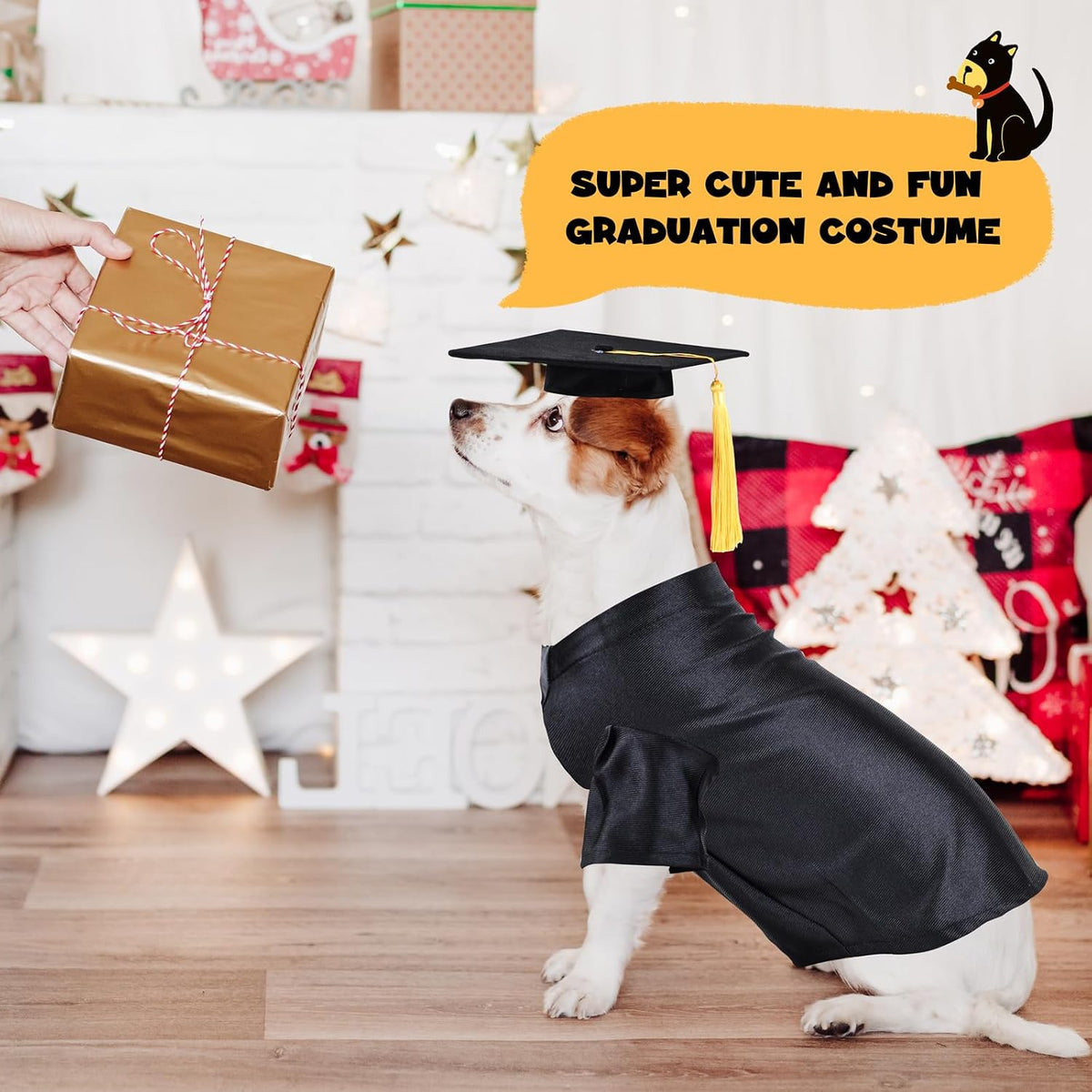 Dog and cat graduation cap and gown costume