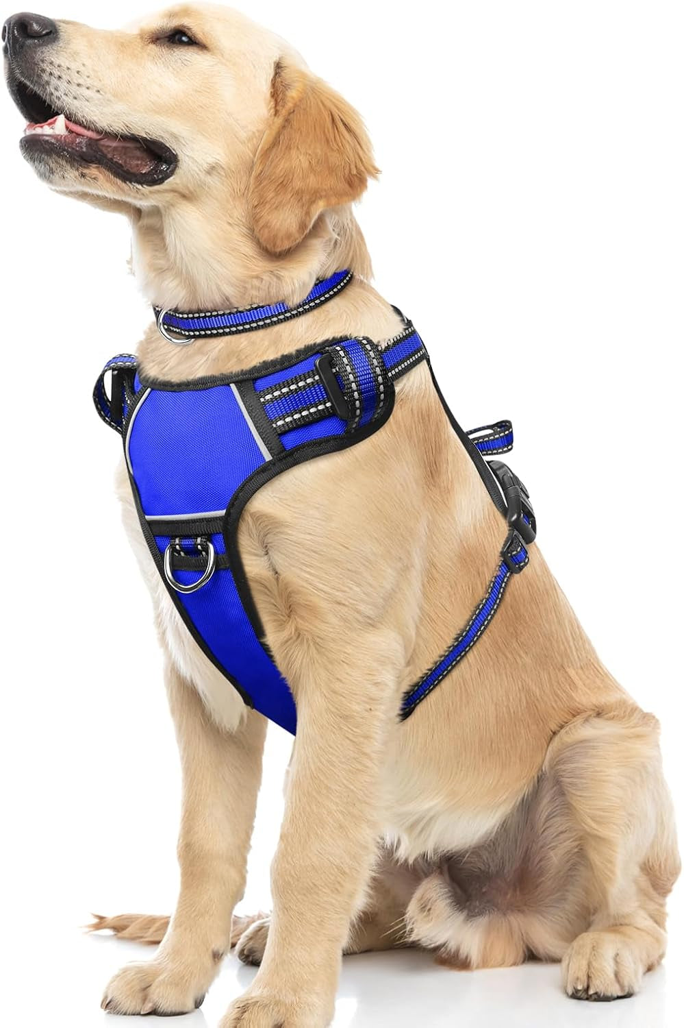 Reflective no-pull dog harness with adjustable straps and front and back leash clips.