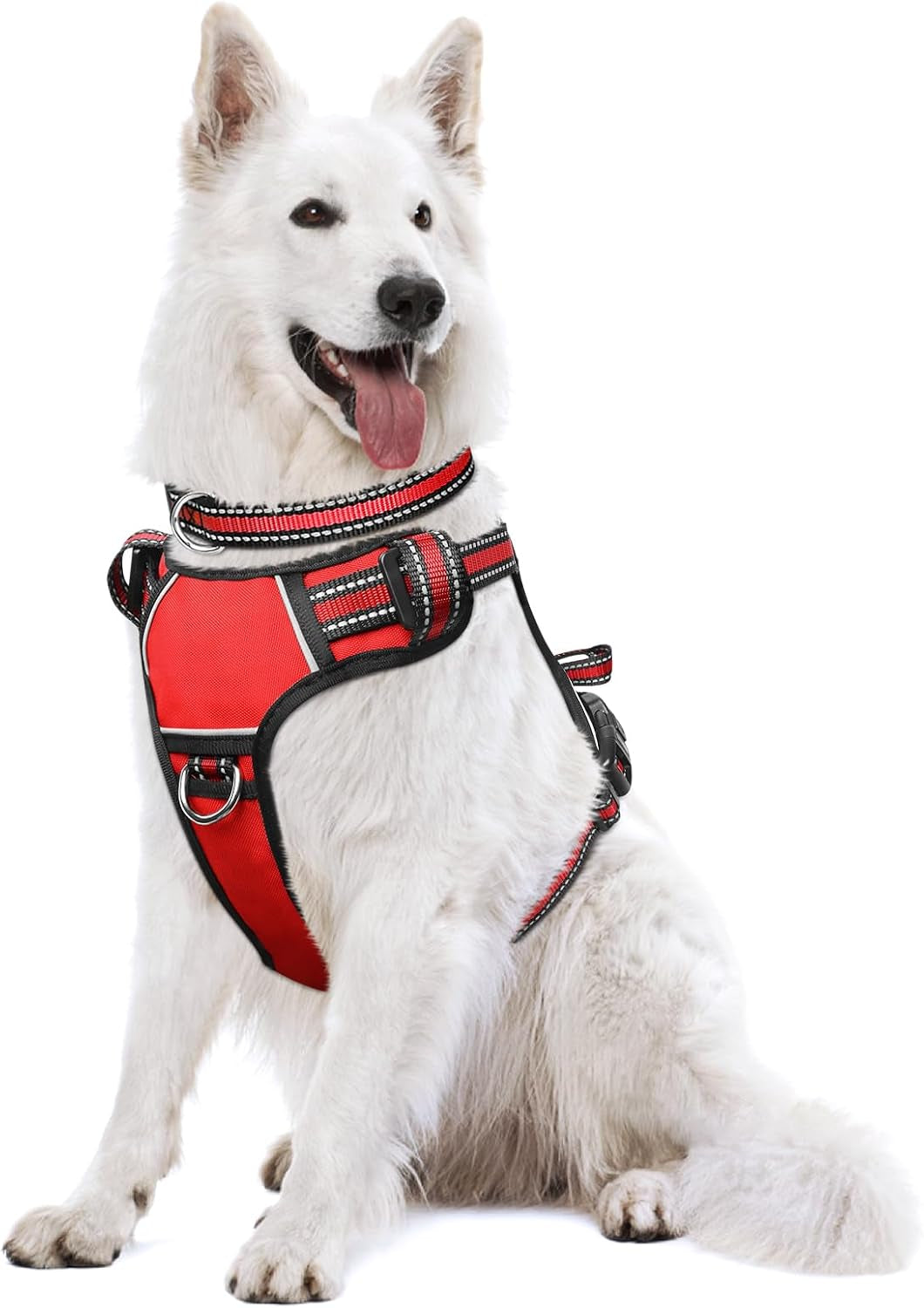 Reflective no-pull dog harness with adjustable straps and front and back leash clips.