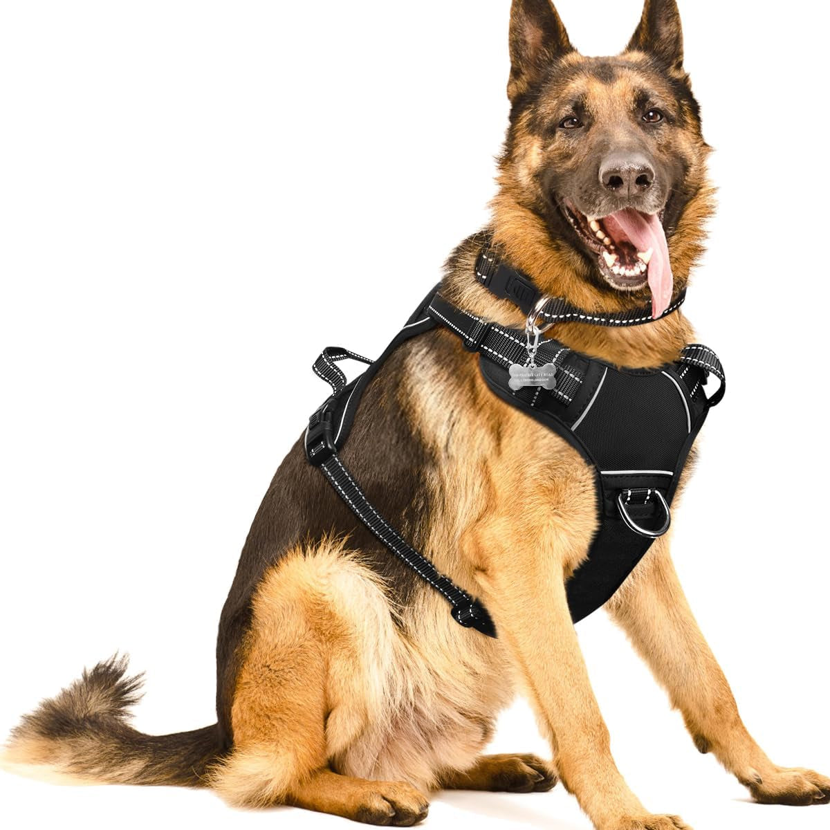 Reflective no-pull dog harness with adjustable straps and front and back leash clips.