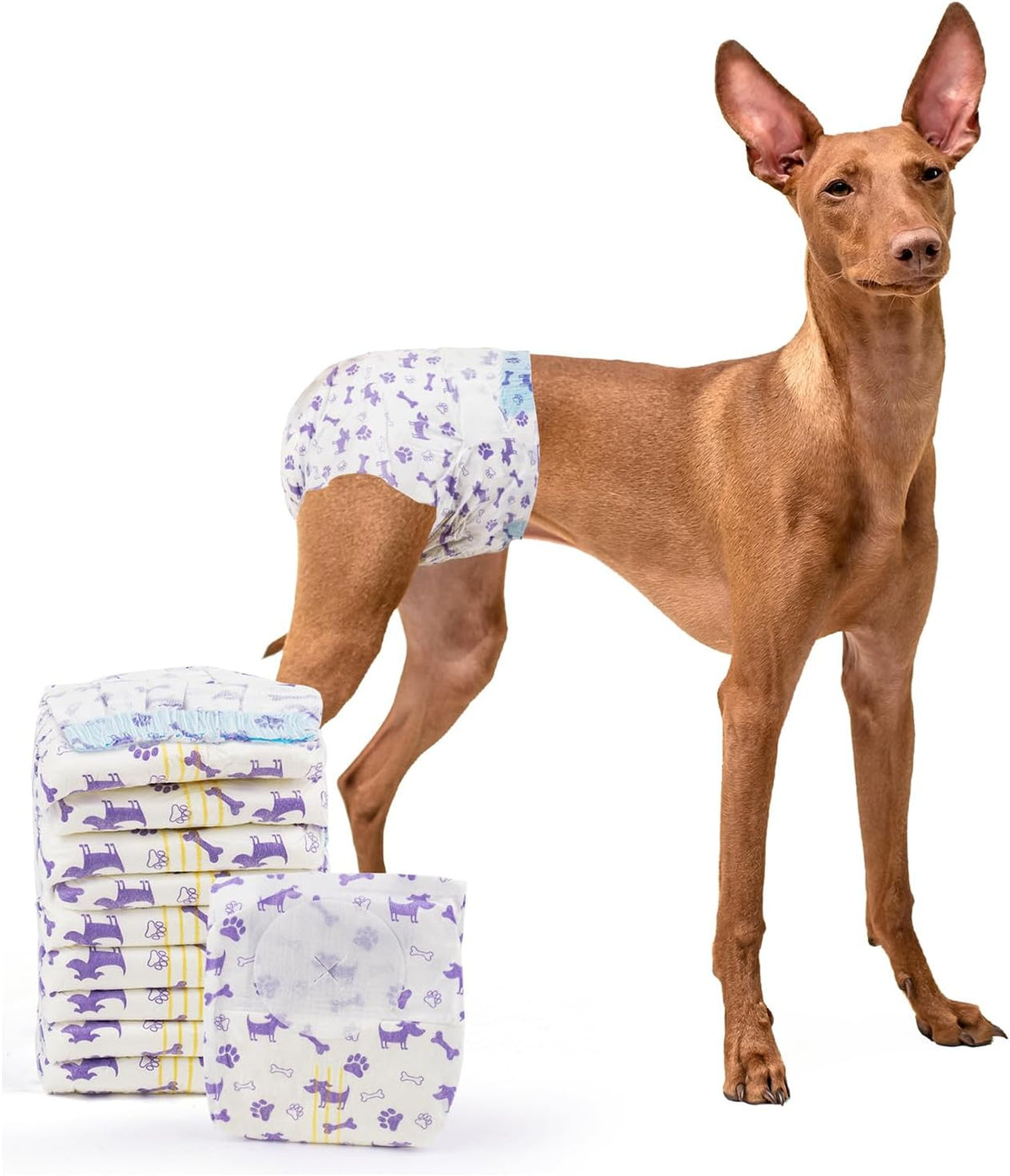 Disposable female dog diaper with absorbent padding and tail opening.