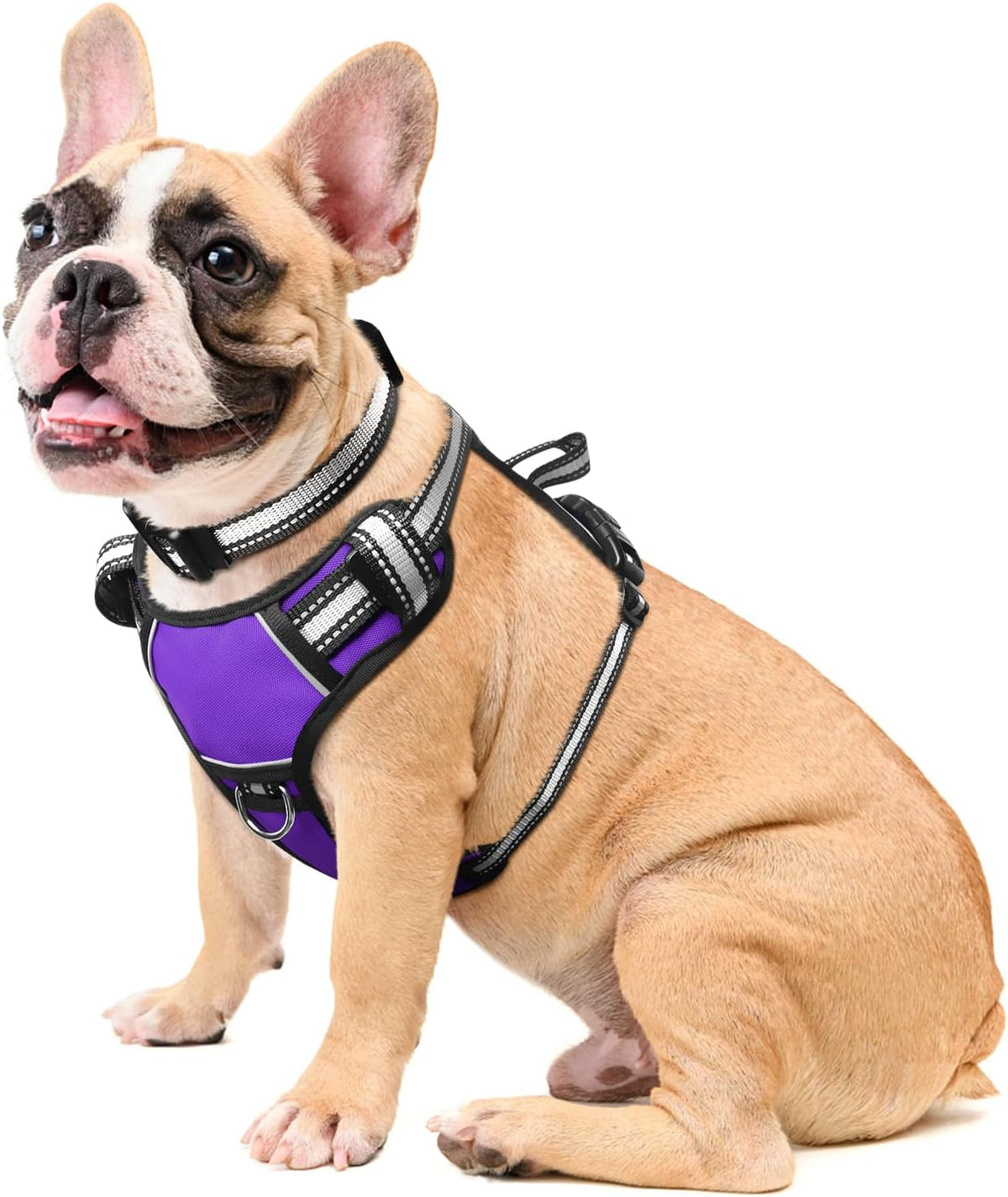 Reflective no-pull dog harness with adjustable straps and front and back leash clips.