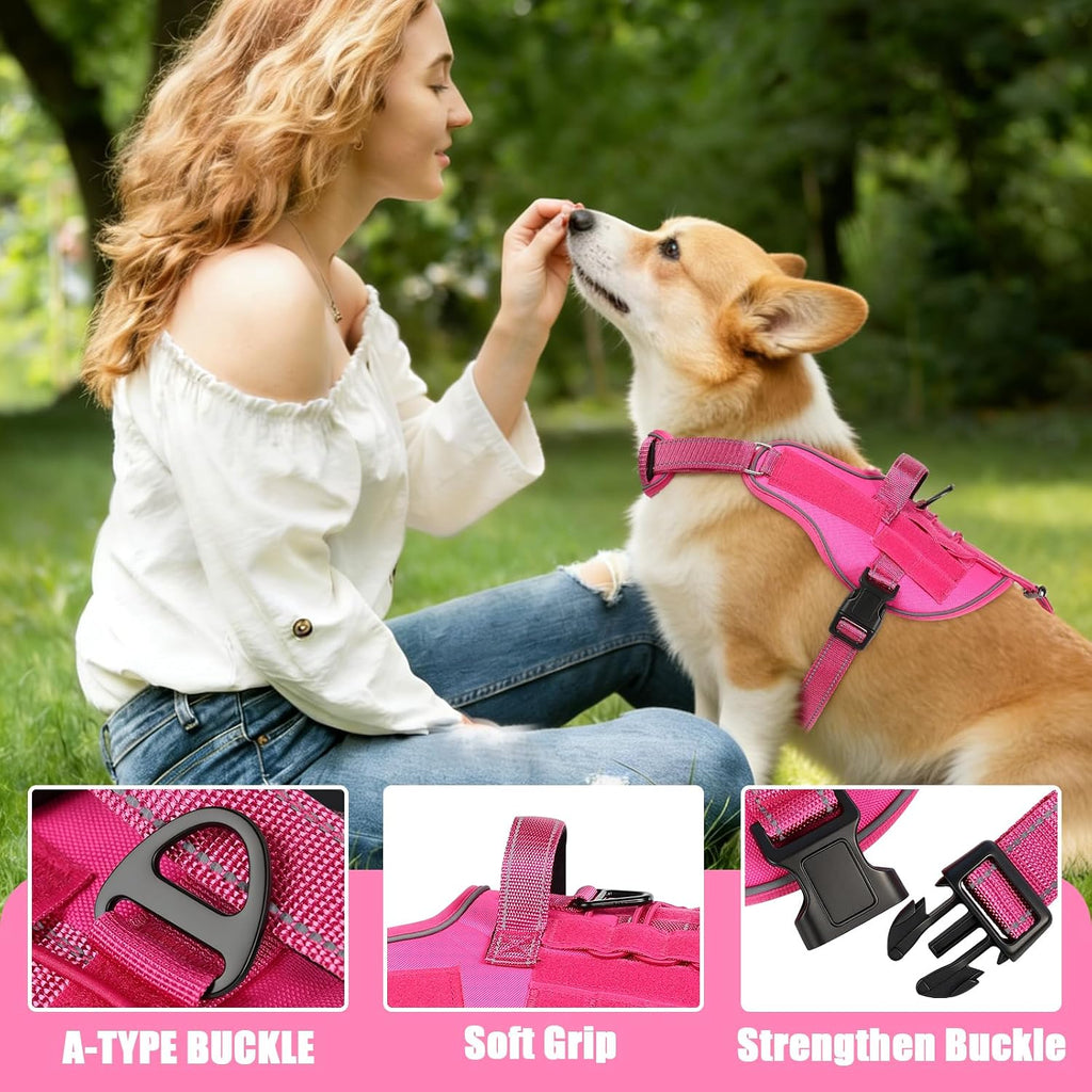 Small-dog vest kit with leash, car seat belt, and removable patches