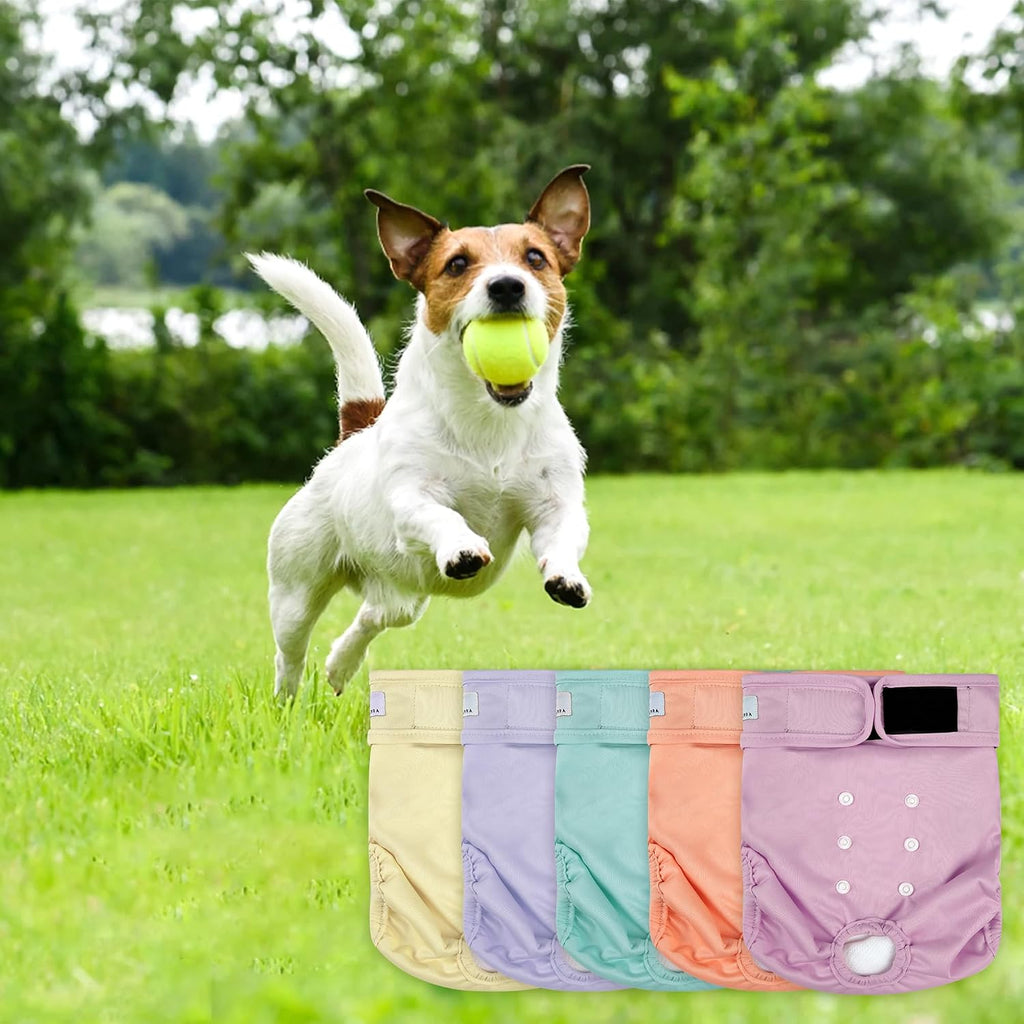 Washable female dog diaper with adjustable fit.