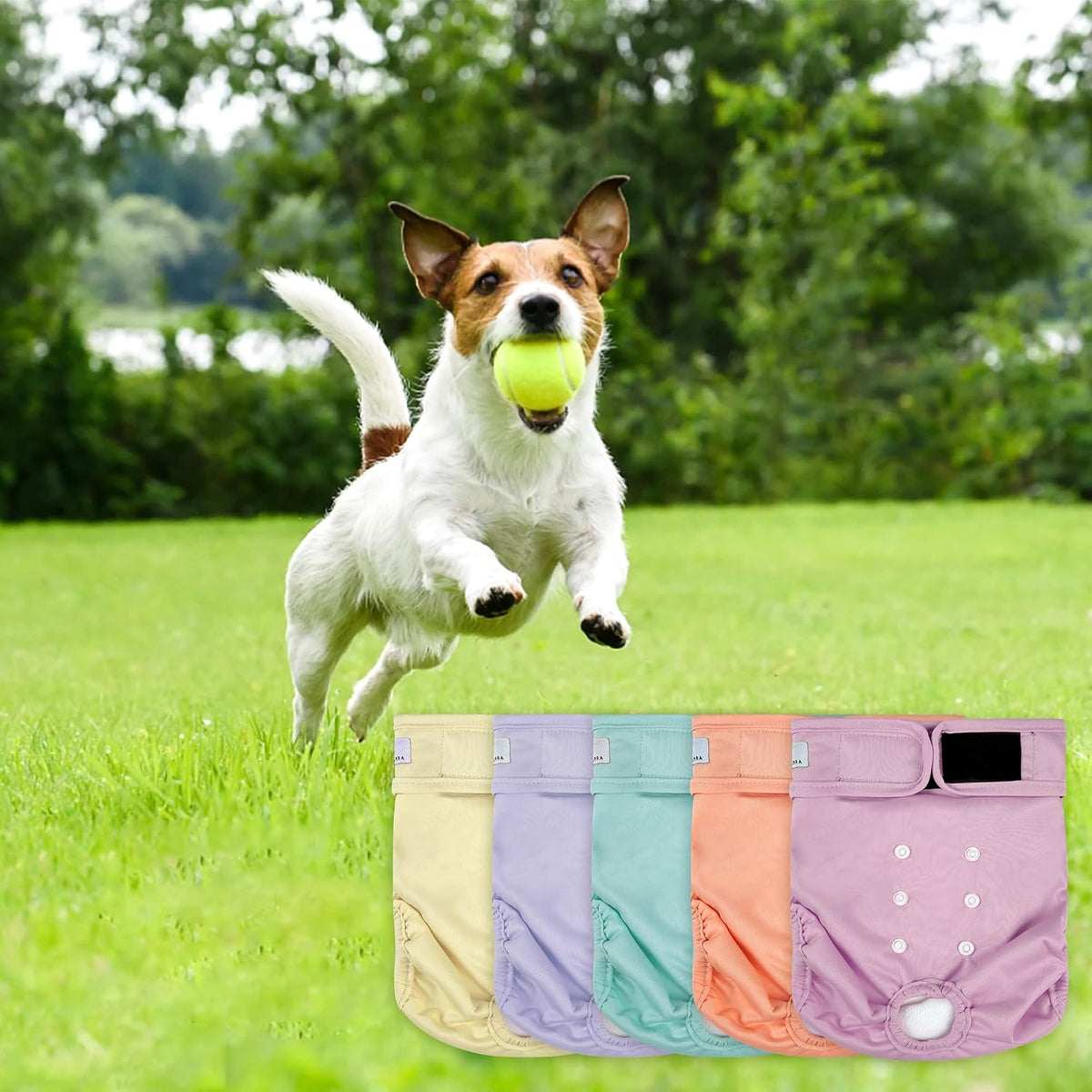 Washable female dog diaper with adjustable fit.
