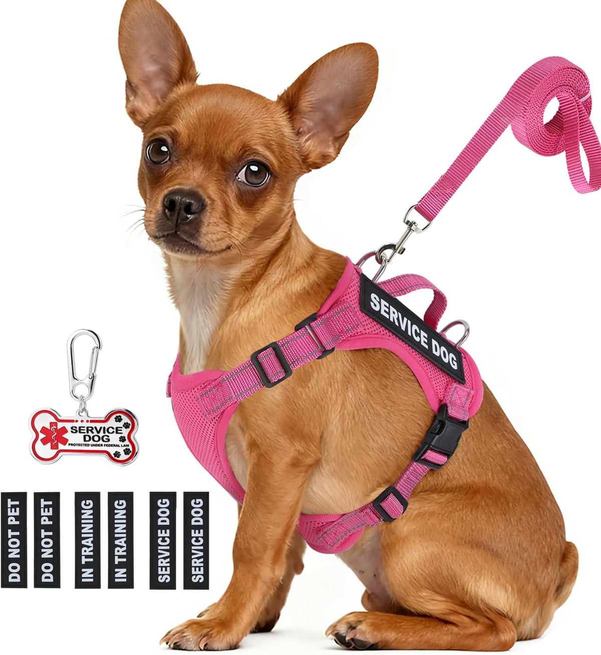 Small dog vest kit with leash, bone-shaped ID tag, and interchangeable patches