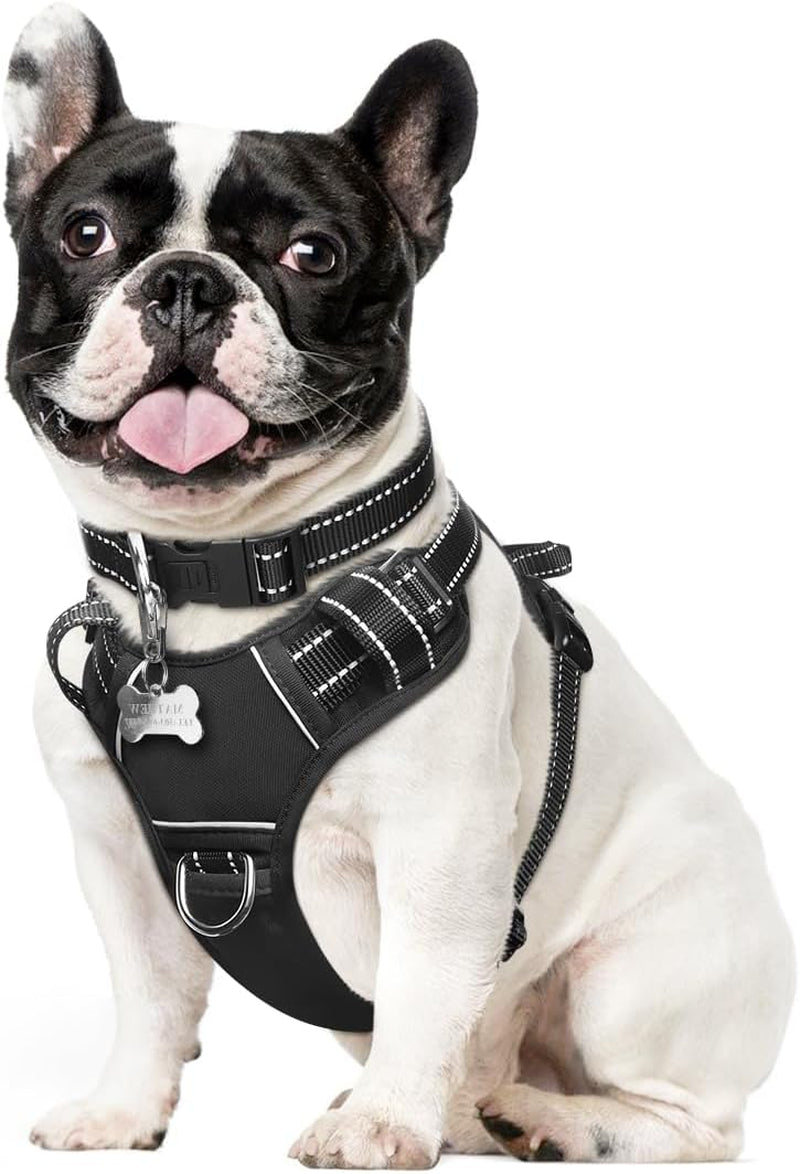 Reflective no-pull dog harness with adjustable straps and front and back leash clips.
