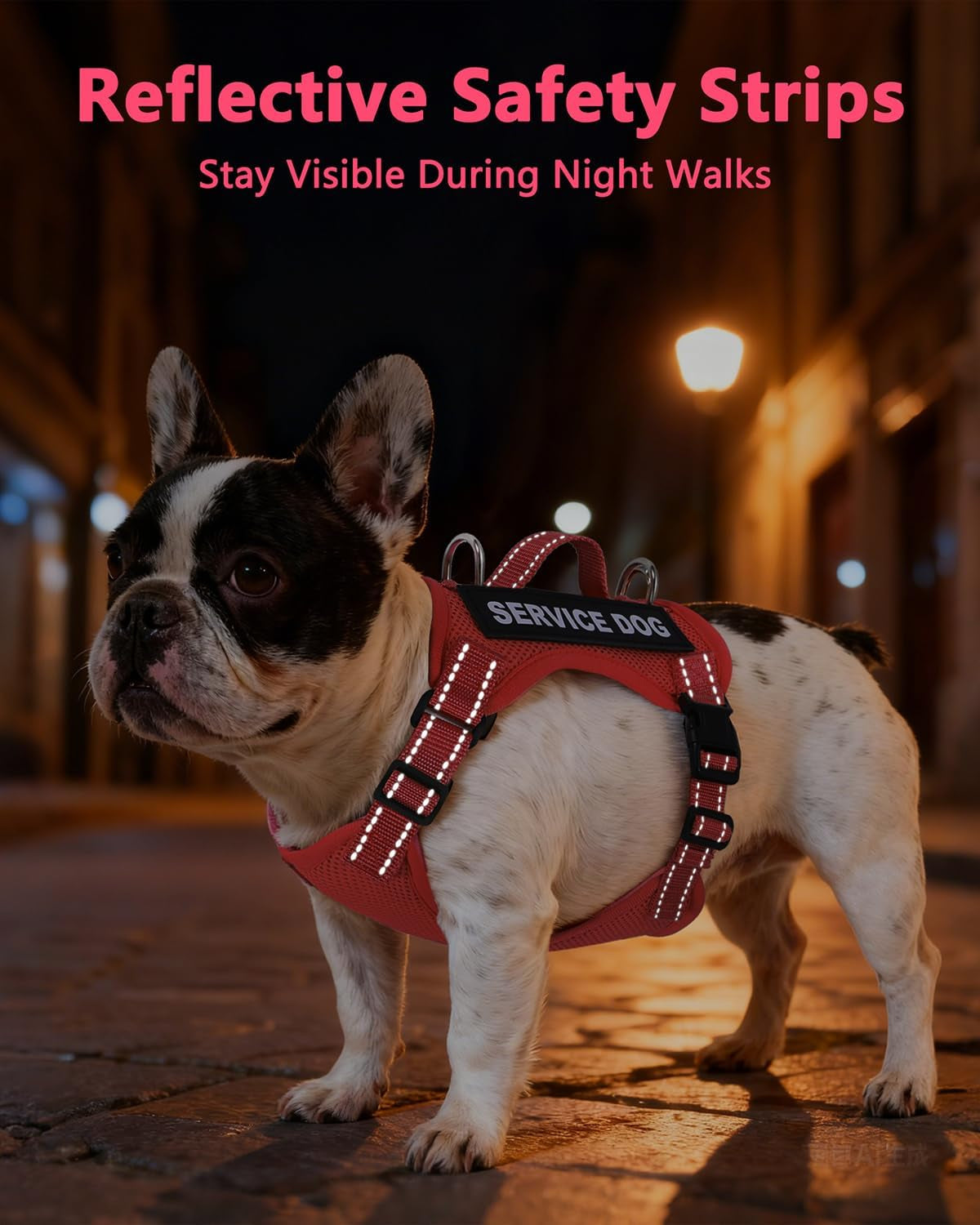 Small dog vest kit with leash, bone-shaped ID tag, and interchangeable patches