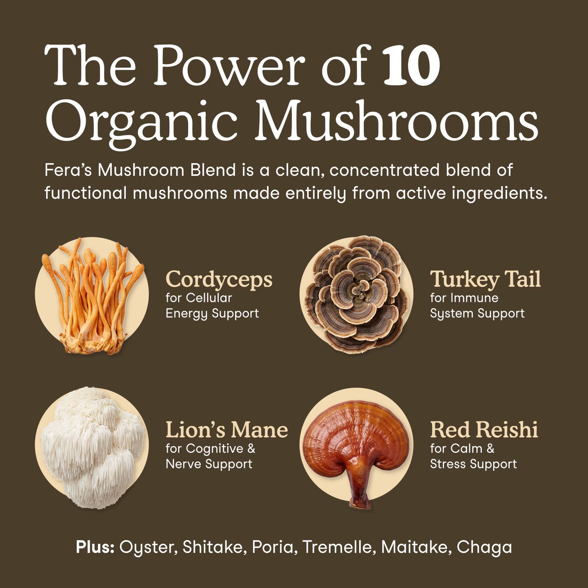 Fera Pets Organic Mushroom Powder for dogs and cats, 120 scoops.