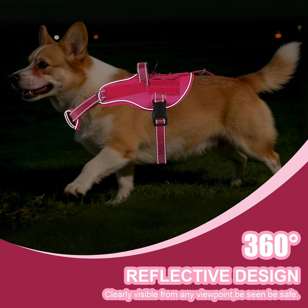 Small-dog vest kit with leash, car seat belt, and removable patches