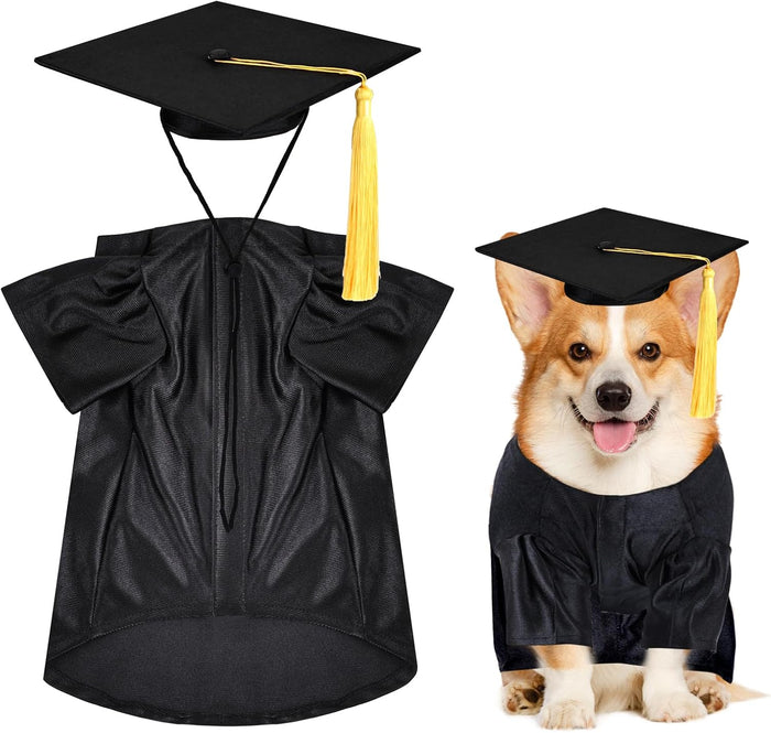 Dog and cat graduation cap and gown costume
