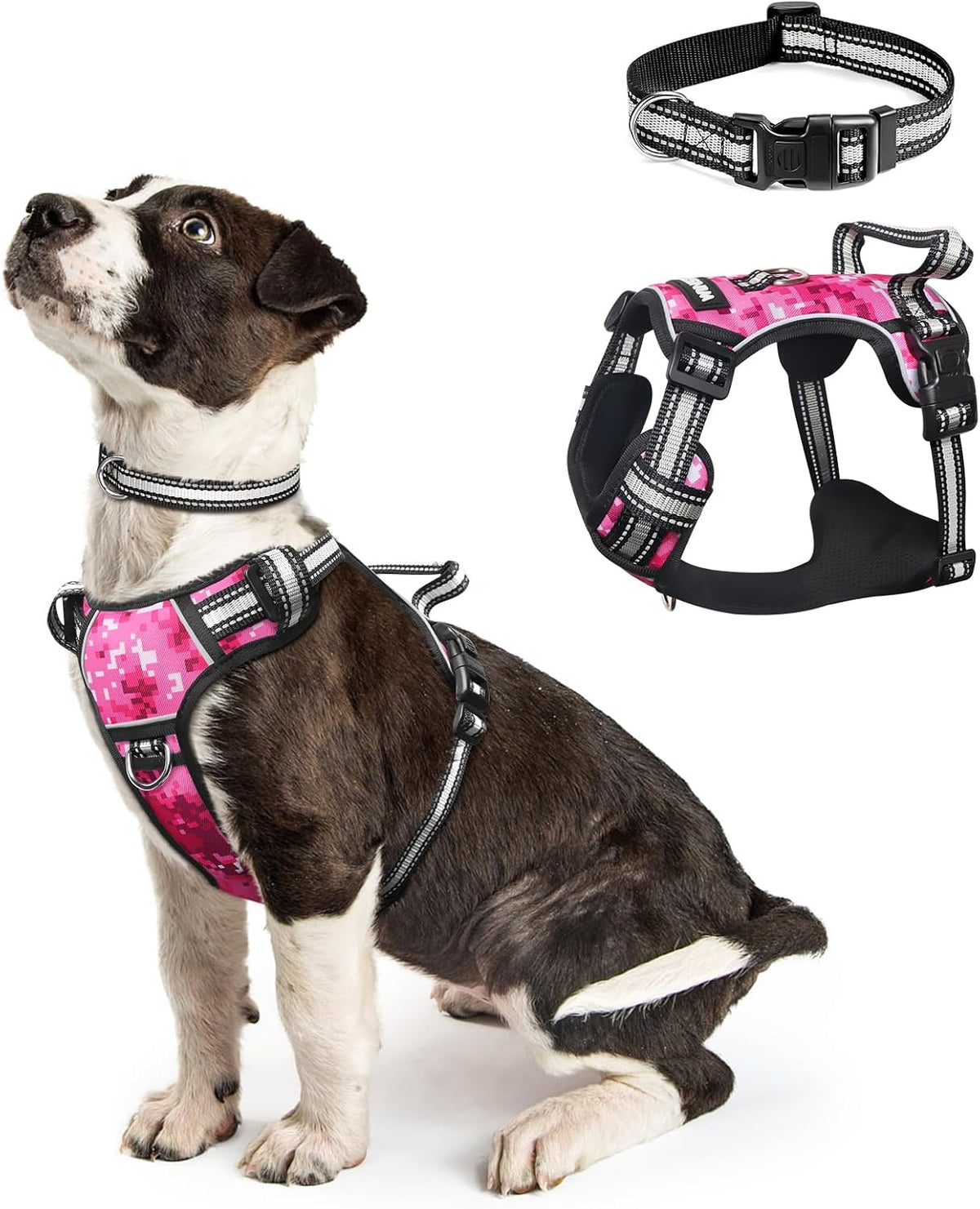 Reflective no-pull dog harness with adjustable straps and front and back leash clips.