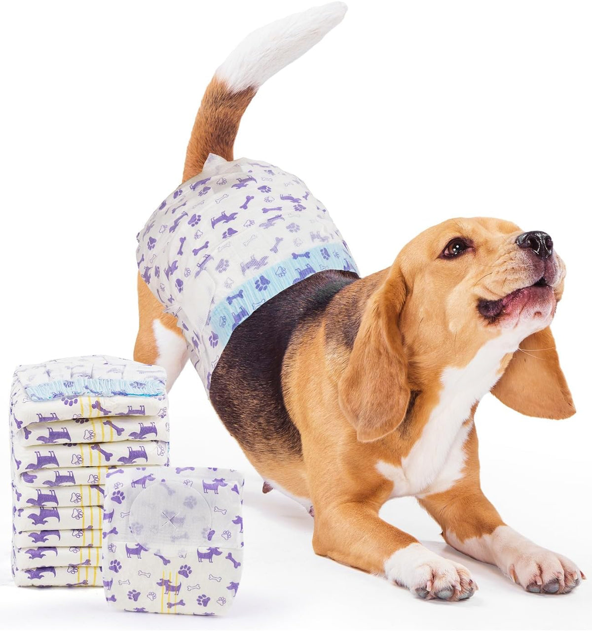 Disposable female dog diaper with absorbent padding and tail opening.