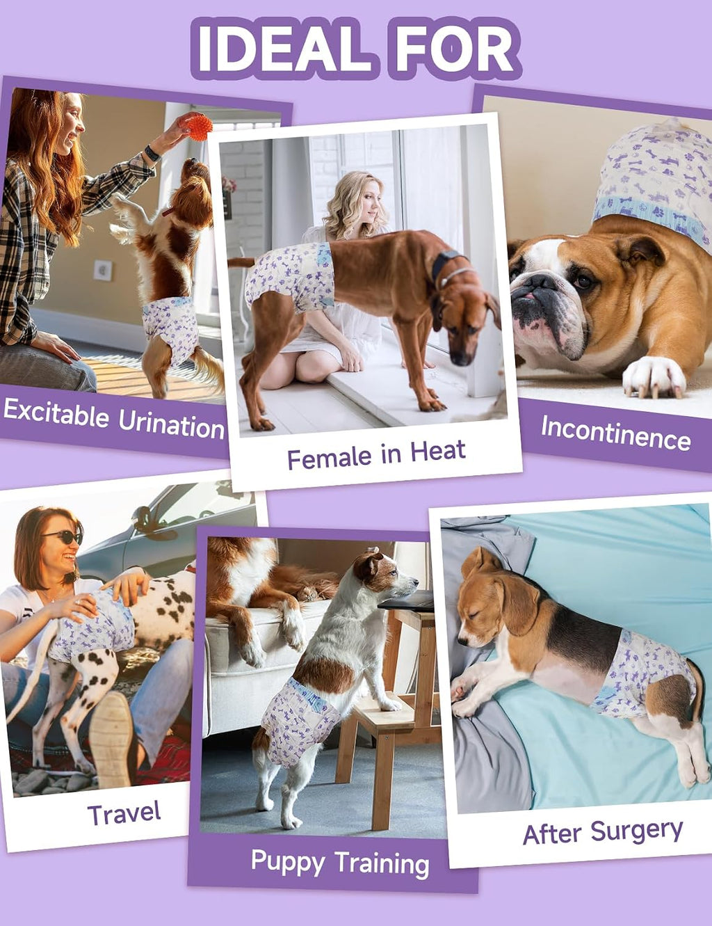 Disposable female dog diaper with absorbent padding and tail opening.