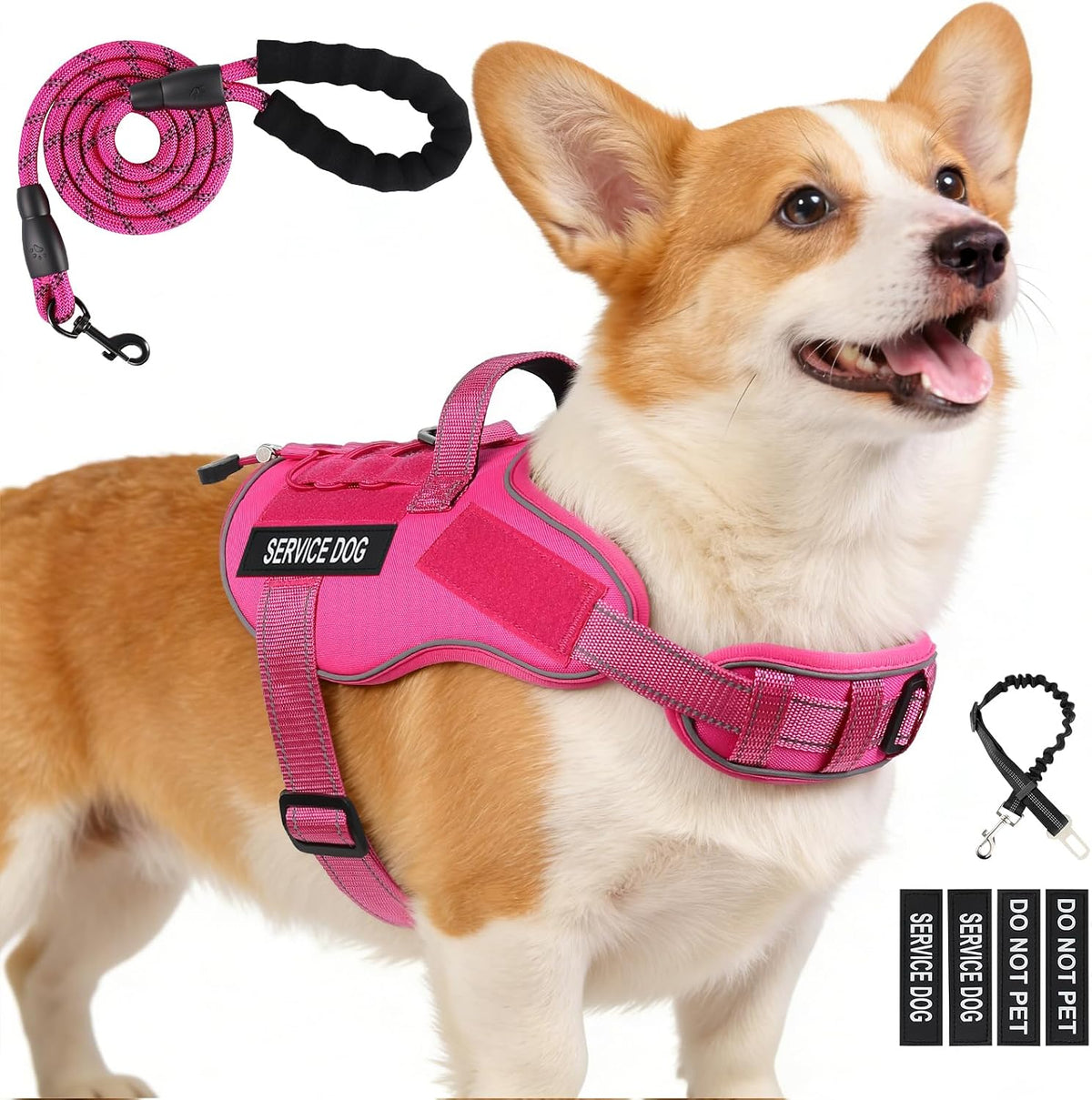 Small-dog vest kit with leash, car seat belt, and removable patches