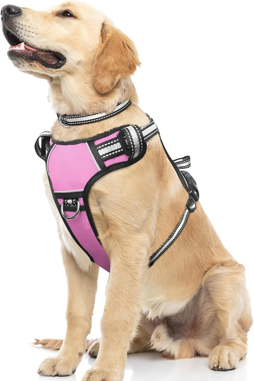 Reflective no-pull dog harness with adjustable straps and front and back leash clips.