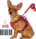 Small dog vest kit with leash, bone-shaped ID tag, and interchangeable patches