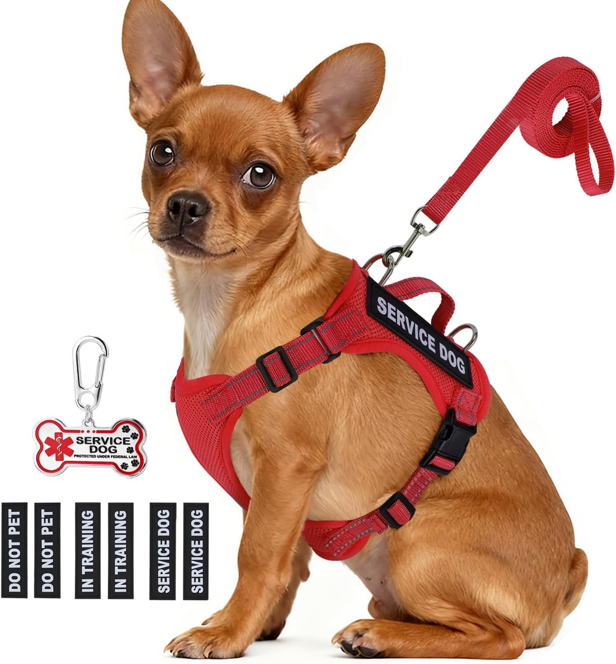 Small dog vest kit with leash, bone-shaped ID tag, and interchangeable patches