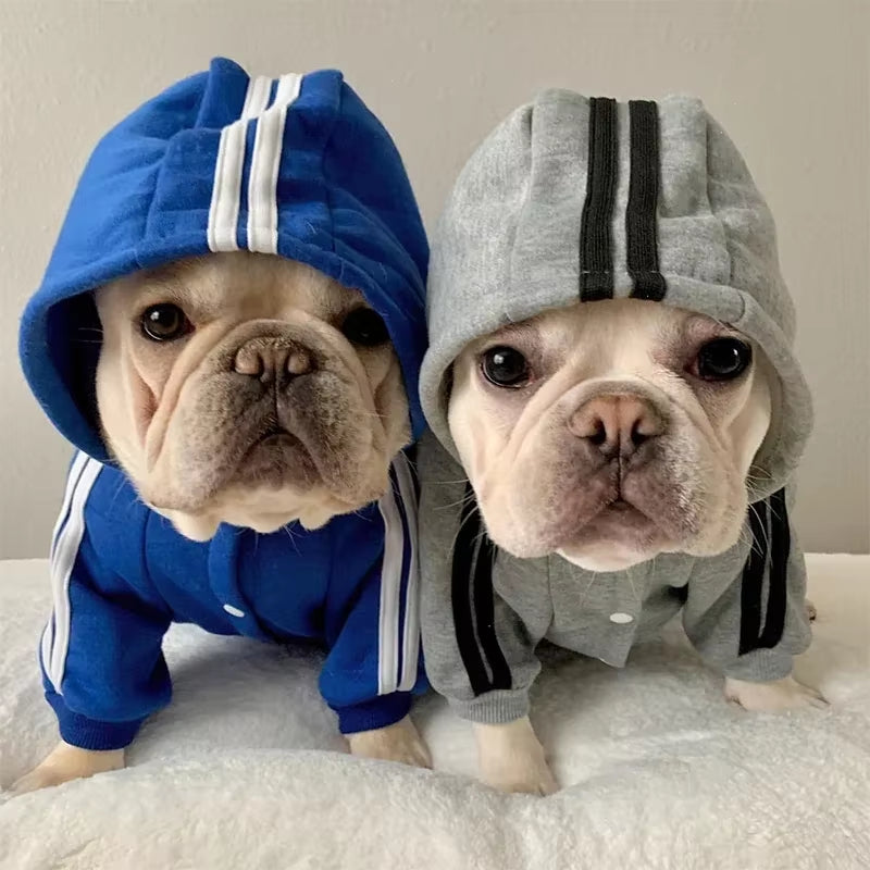 Adidog Dog Jumpsuit 
