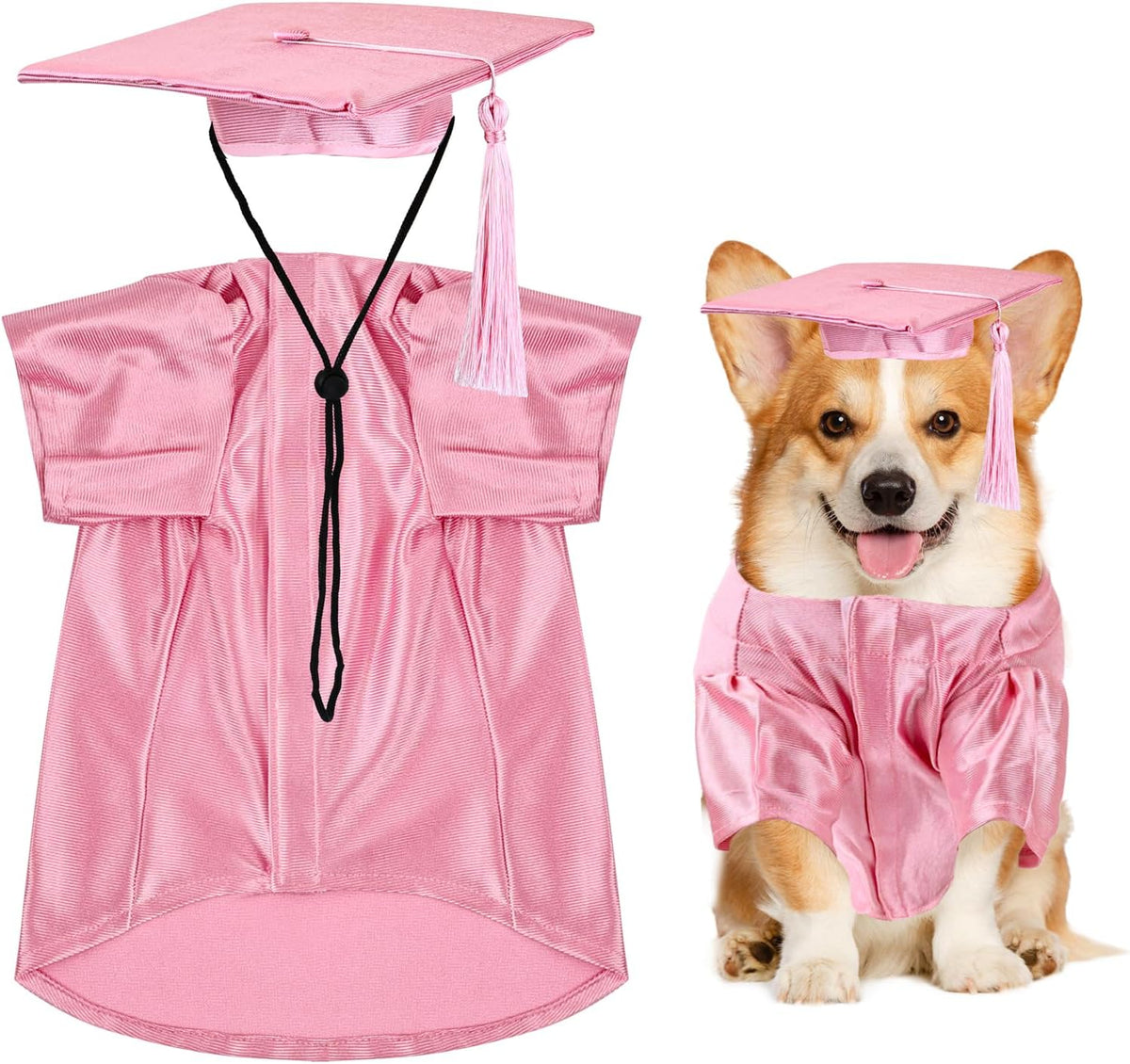 Dog and cat graduation cap and gown costume