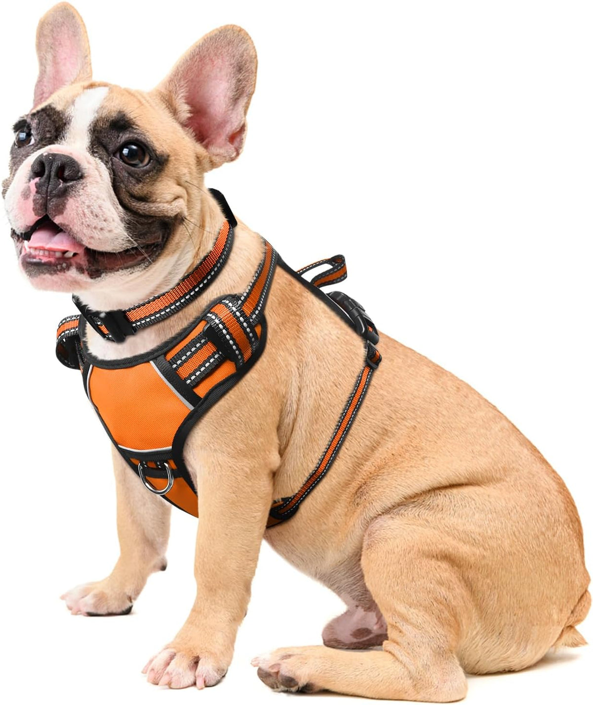 Reflective no-pull dog harness with adjustable straps and front and back leash clips.