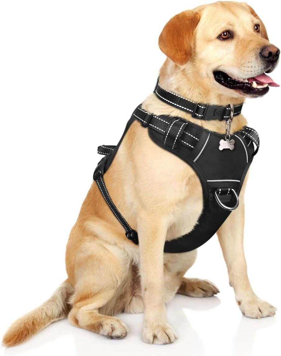 Reflective no-pull dog harness with adjustable straps and front and back leash clips.