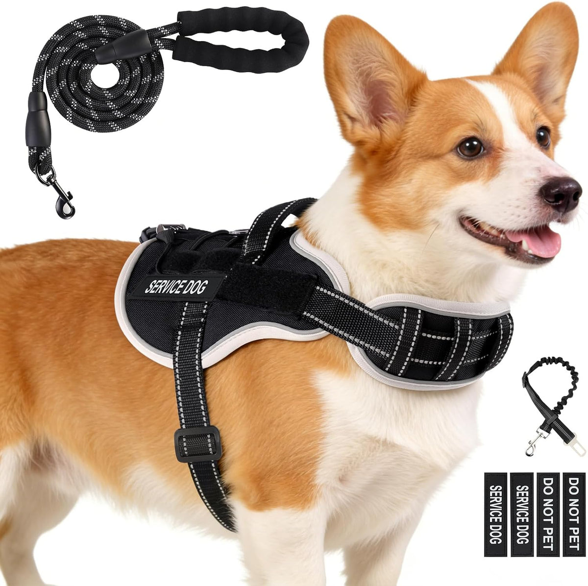 Small-dog vest kit with leash, car seat belt, and removable patches