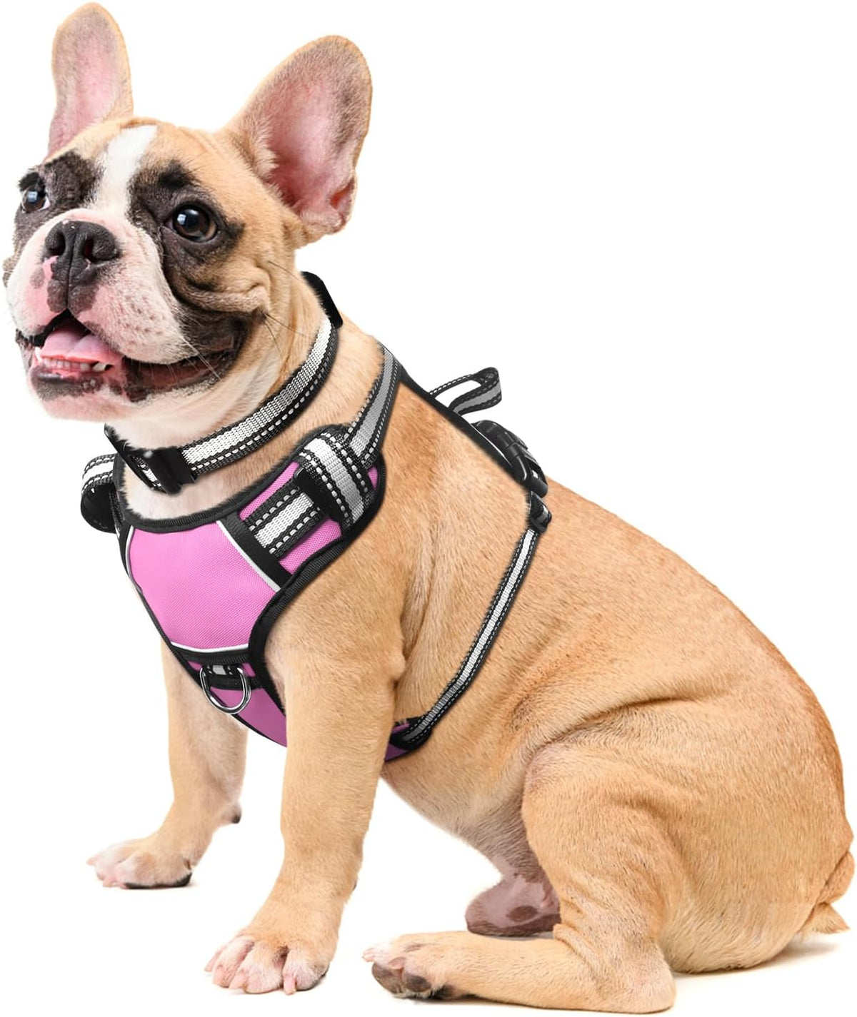 Reflective no-pull dog harness with adjustable straps and front and back leash clips.