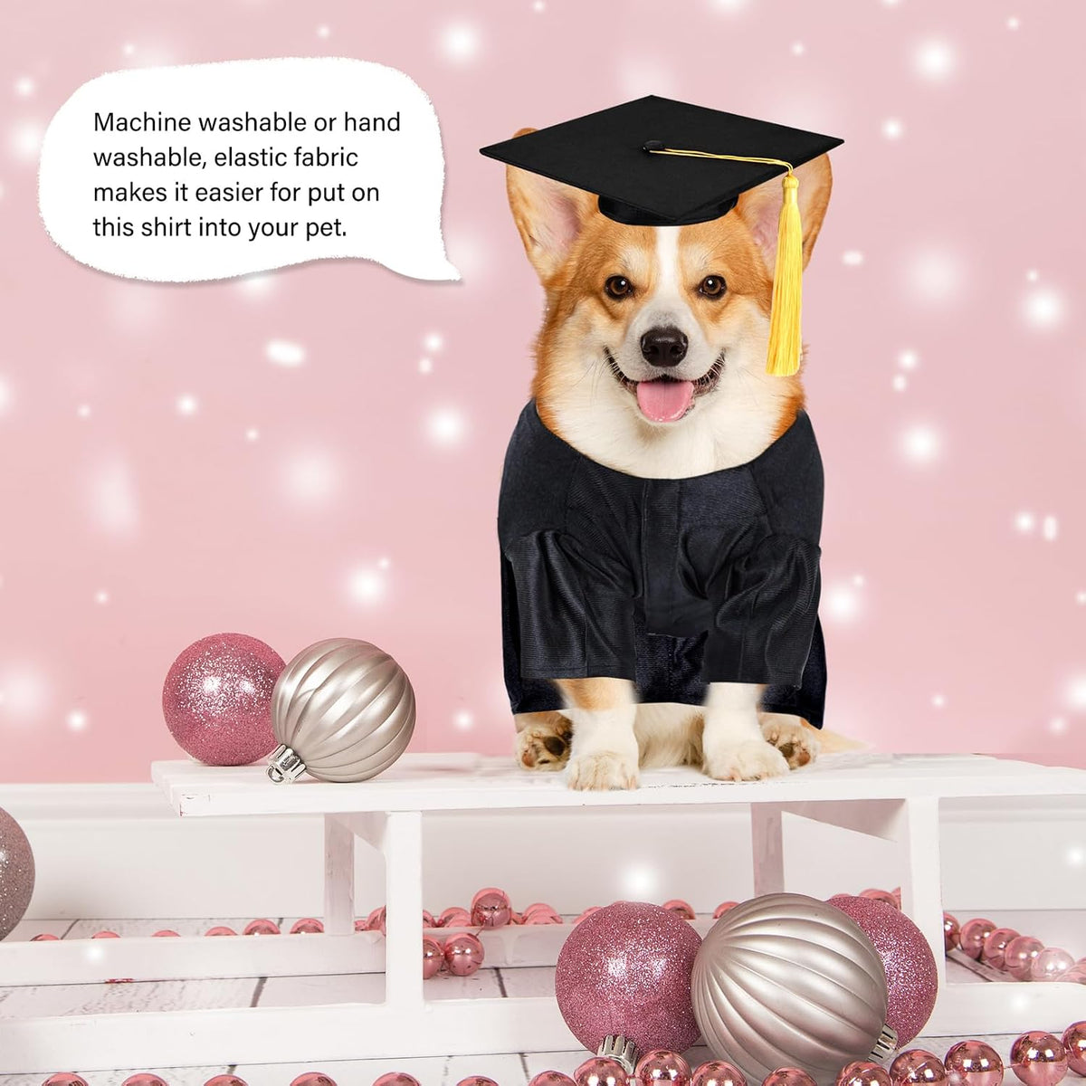 Dog and cat graduation cap and gown costume