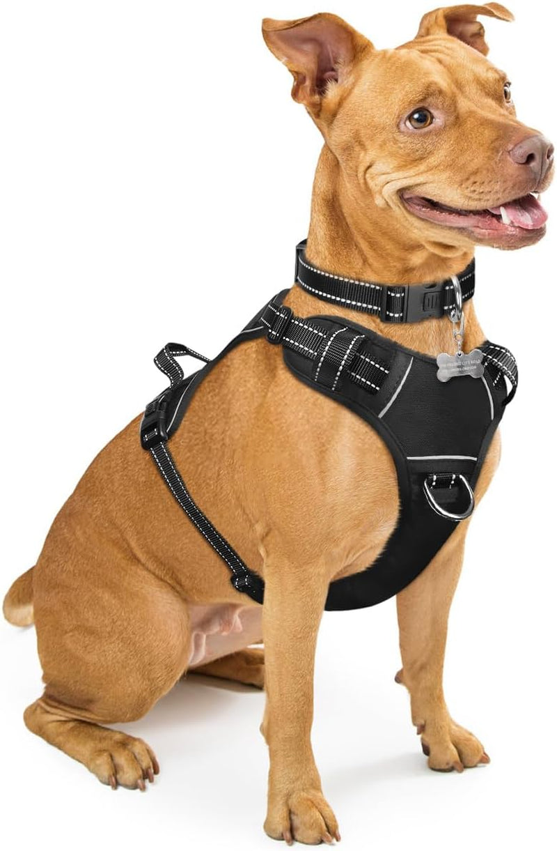 Reflective no-pull dog harness with adjustable straps and front and back leash clips.