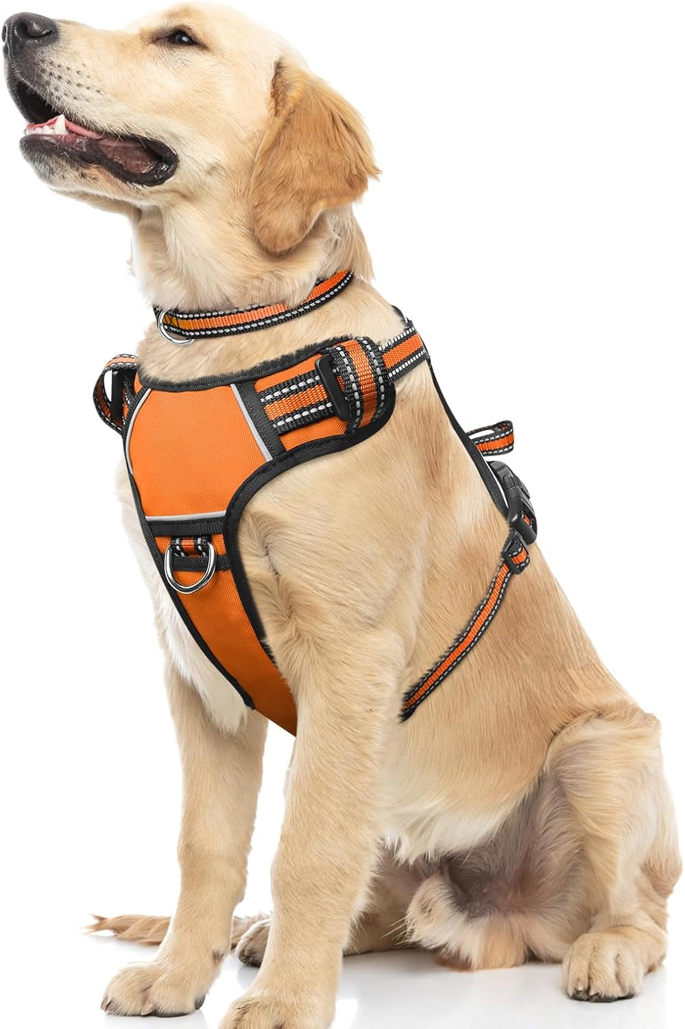 Reflective no-pull dog harness with adjustable straps and front and back leash clips.