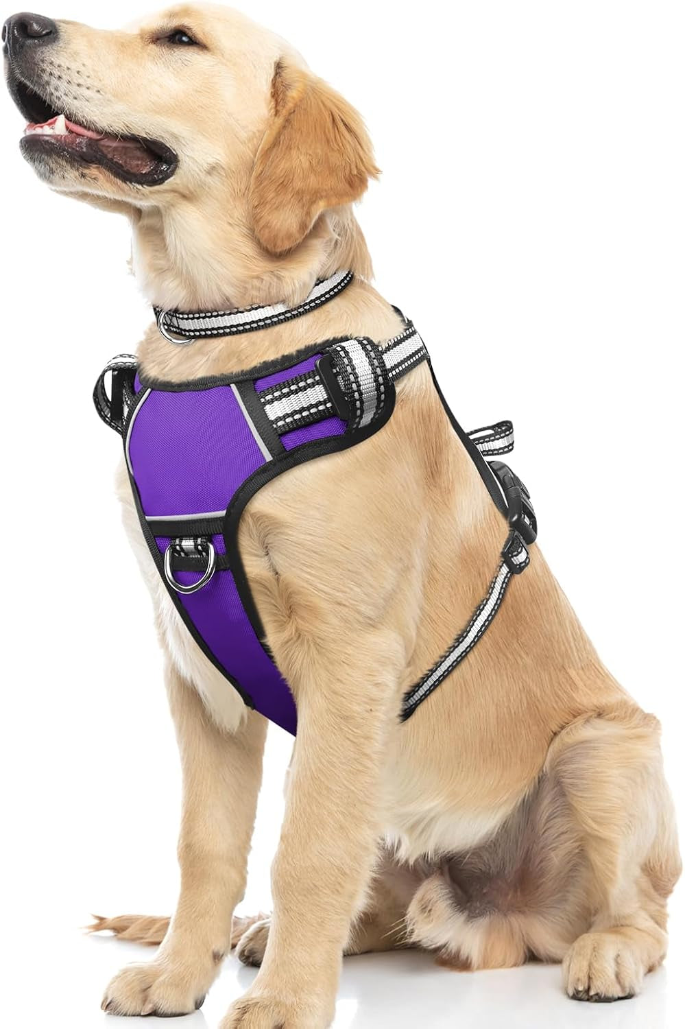 Reflective no-pull dog harness with adjustable straps and front and back leash clips.