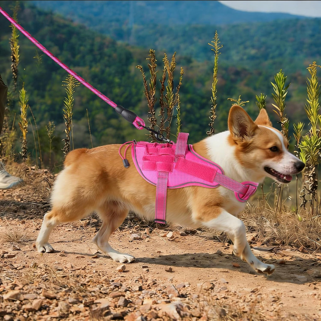 Small-dog vest kit with leash, car seat belt, and removable patches