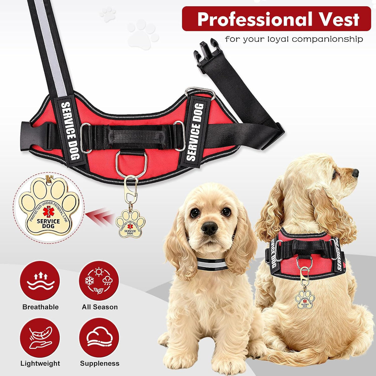 Red service dog vest kit with two patches, a metal ID tag, and 50 information cards