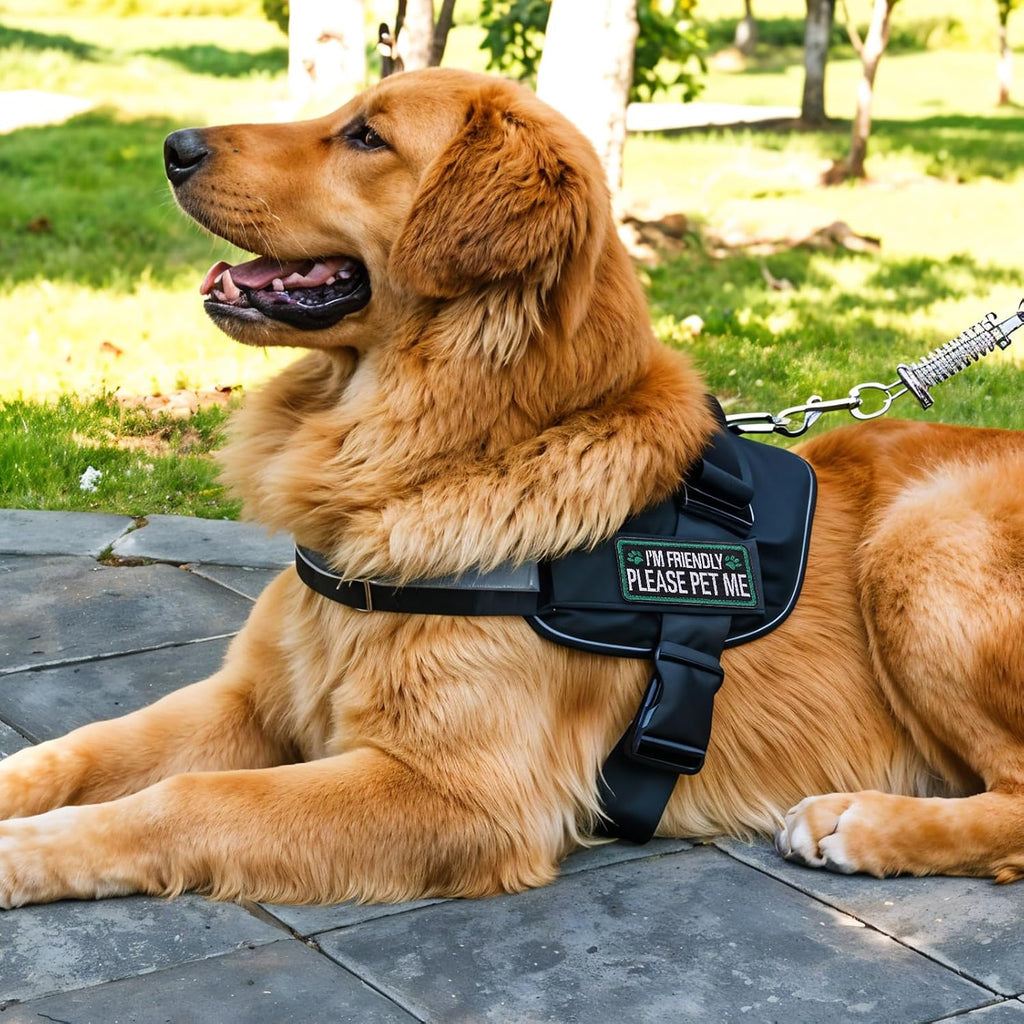  Embroidered I’m Friendly, Please Pet Me dog patches for compatible pet gear