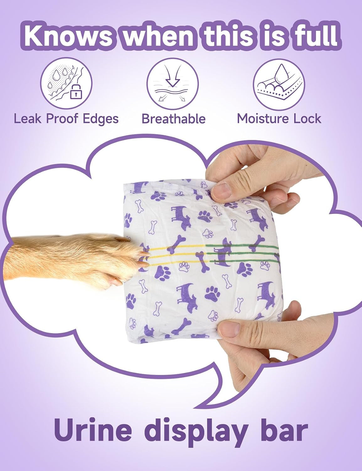 Disposable female dog diaper with absorbent padding and tail opening.