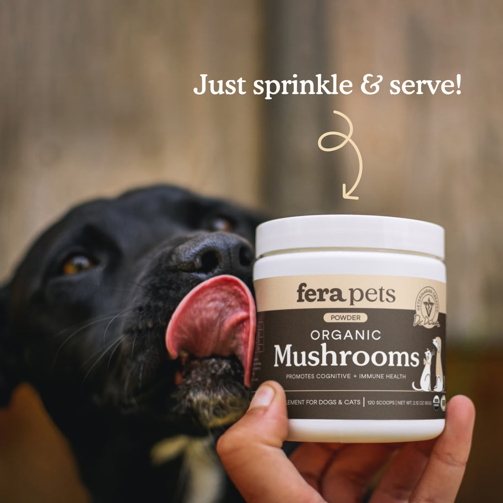 Fera Pets Organic Mushroom Powder for dogs and cats, 120 scoops.