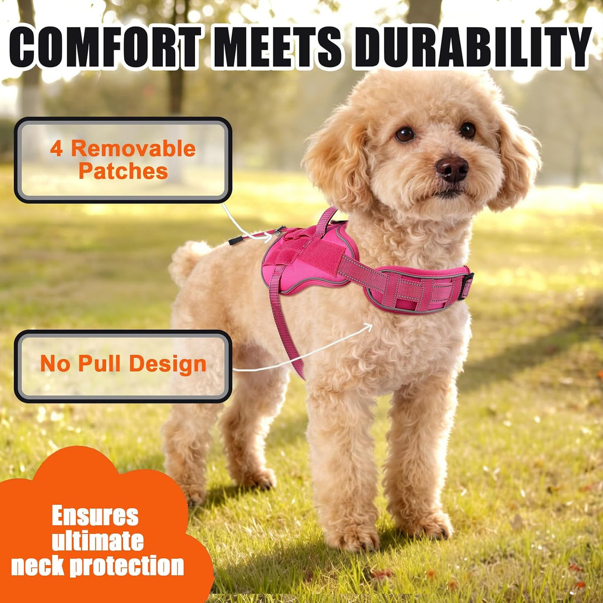 Small-dog vest kit with leash, car seat belt, and removable patches