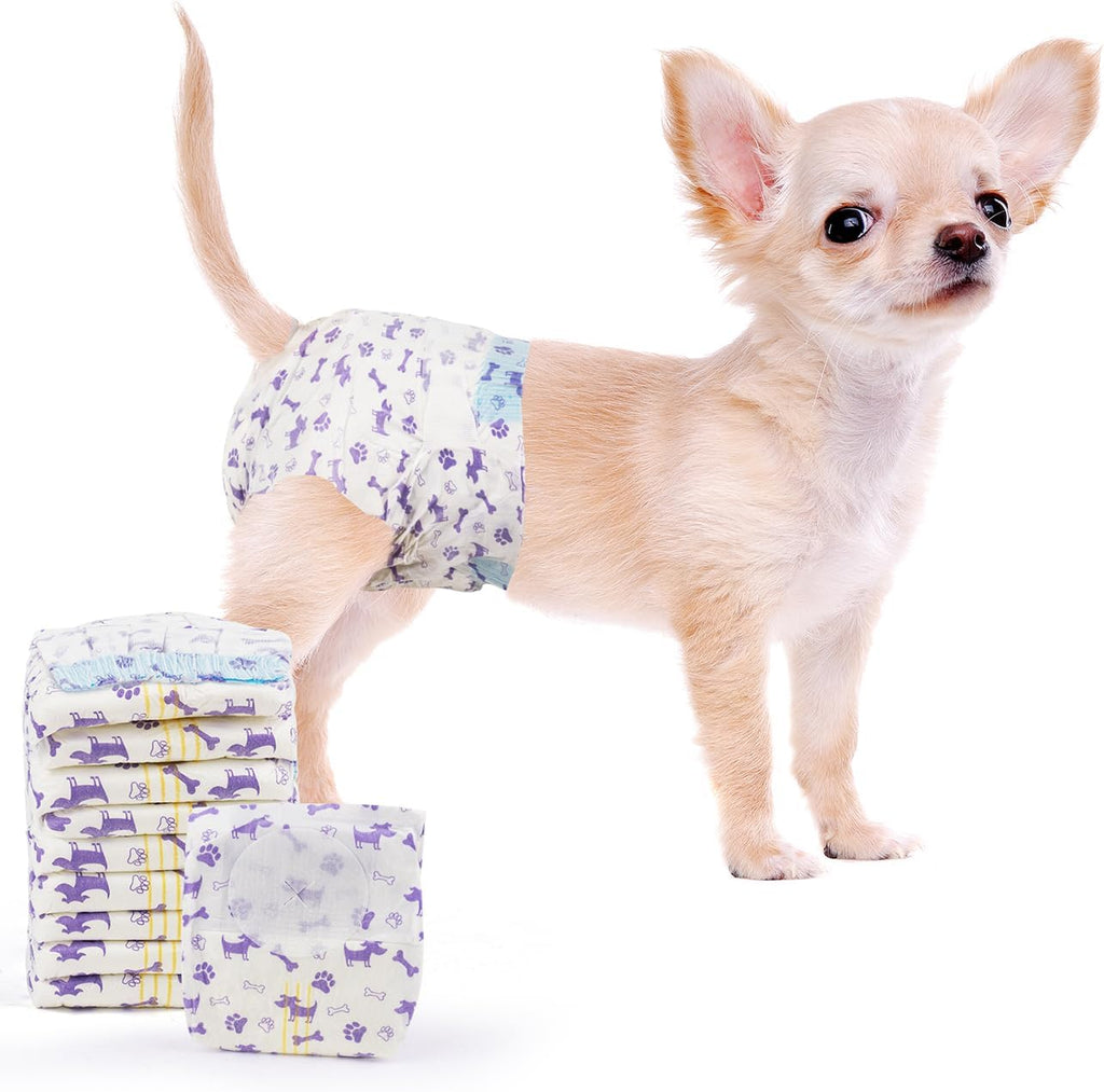 Disposable female dog diaper with absorbent padding and tail opening.