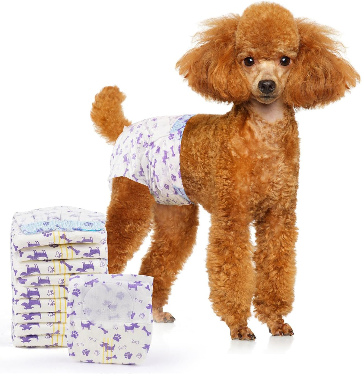 Disposable female dog diaper with absorbent padding and tail opening.