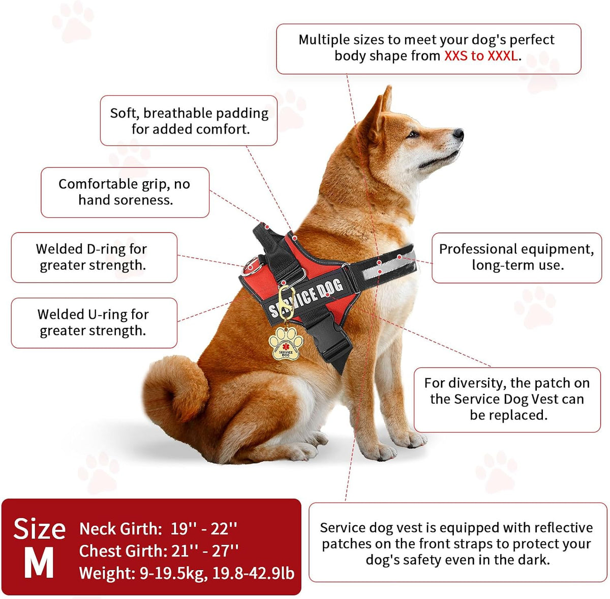 Red service dog vest kit with two patches, a metal ID tag, and 50 information cards