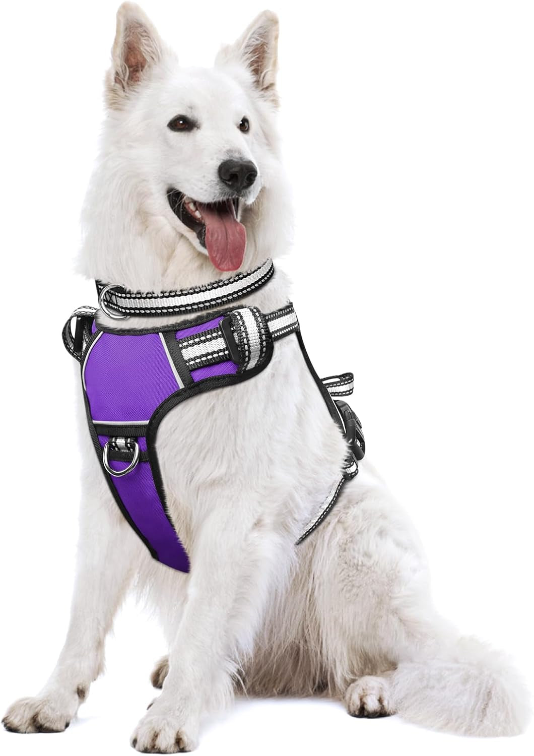 Reflective no-pull dog harness with adjustable straps and front and back leash clips.