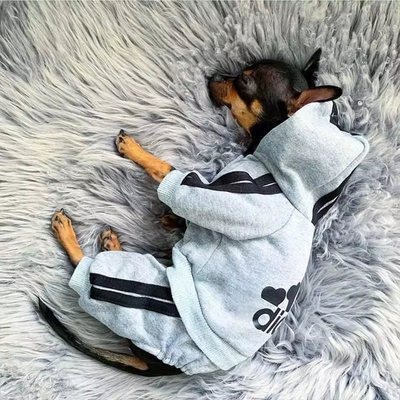 Adidog Dog Jumpsuit 
