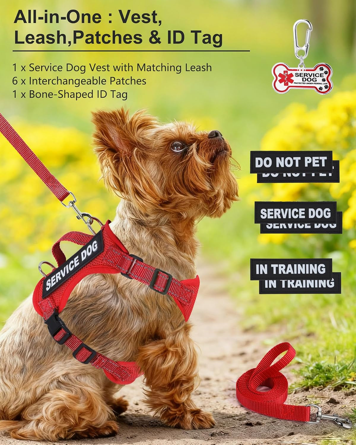 Small dog vest kit with leash, bone-shaped ID tag, and interchangeable patches